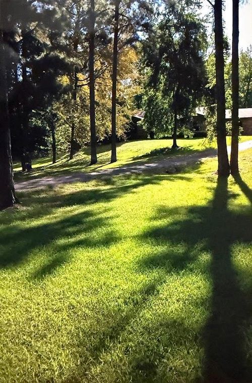 217 Southlake Rd, Saratoga, AR, 71859-9026 | Card Image