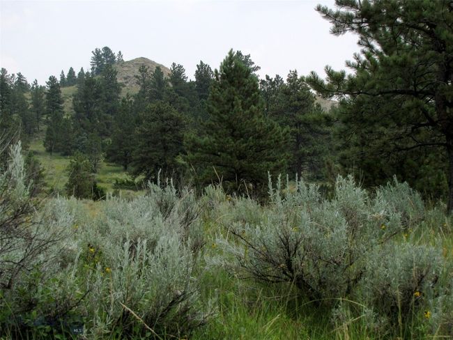 SC-25 - TBD Lone Rock Canyon Lane, Home with 0 bedrooms, 0 bathrooms and null parking in Hysham MT | Image 24