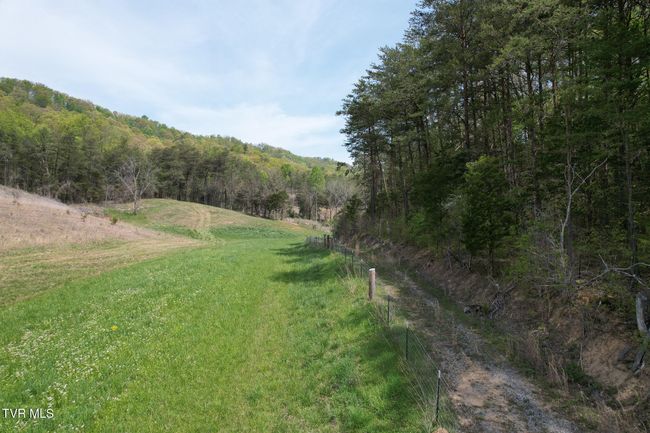 0 Coy Bradley Ln, Home with 0 bedrooms, 0 bathrooms and null parking in Bulls Gap TN | Image 21