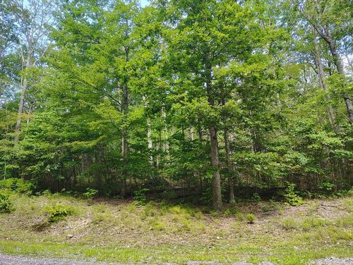 Lot 56-A Ridgetop Lane, Tazewell, VA, 24651 | Card Image