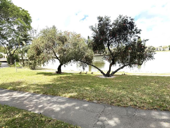 28102 - 3779 Carambola Cir N, Condo with 3 bedrooms, 3 bathrooms and null parking in Coconut Creek FL | Image 42