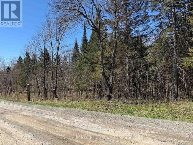 27 Old Nipissing Road N Road, Home with 0 bedrooms, 0 bathrooms and null parking in Parry Sound Remote Area (Pringle) ON | Image 10