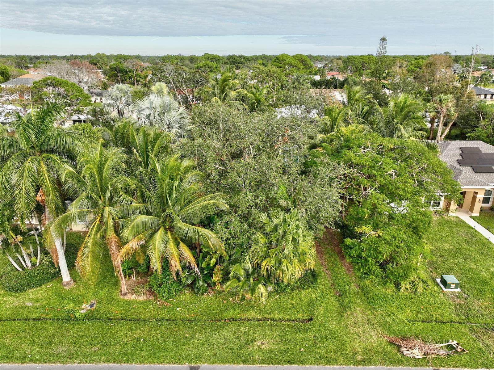 Land in Port St. Lucie 3