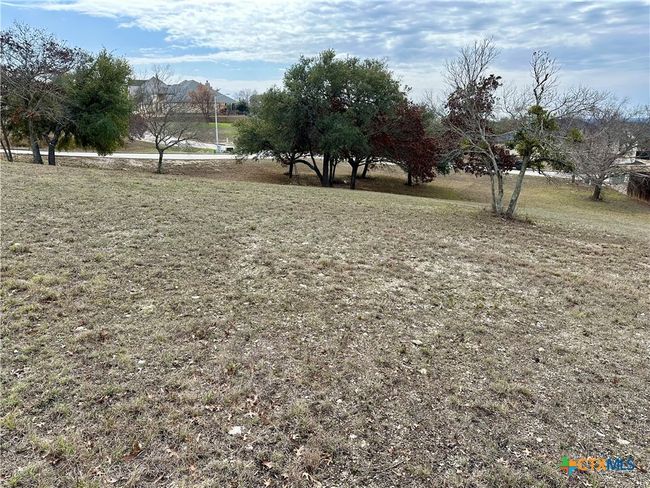 24 Andy's Pt Point, Home with 0 bedrooms, 0 bathrooms and null parking in Burnet TX | Image 7