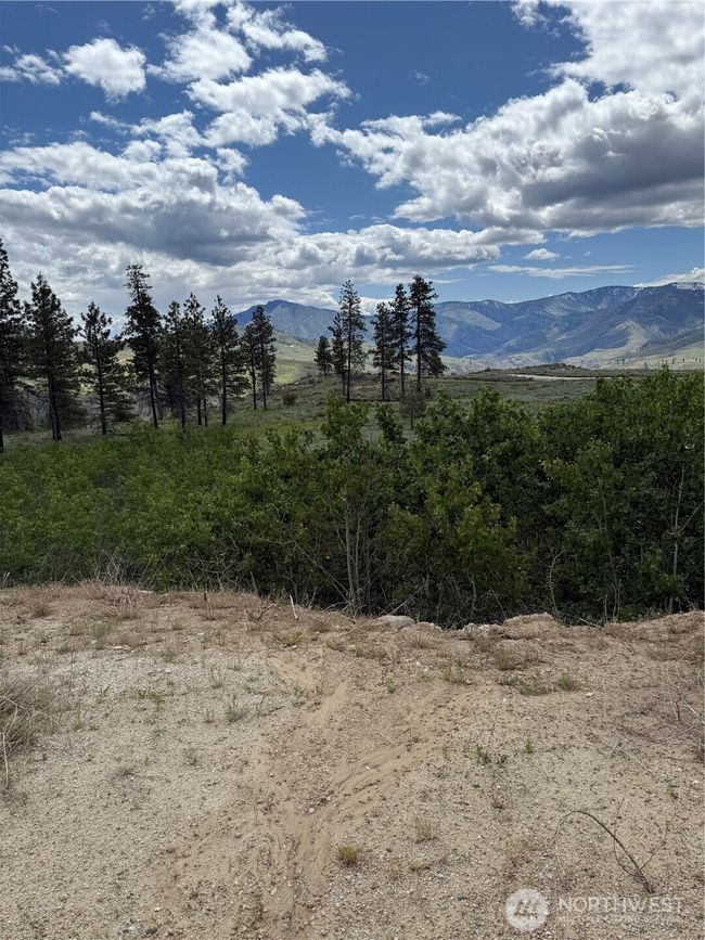SE view | Image 10