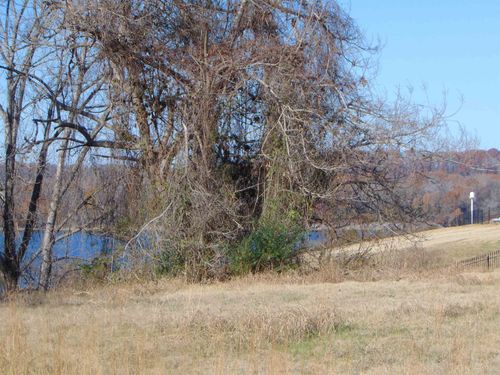 210 Harbor View Dr, Sheffield, AL, 35660-8516 | Card Image