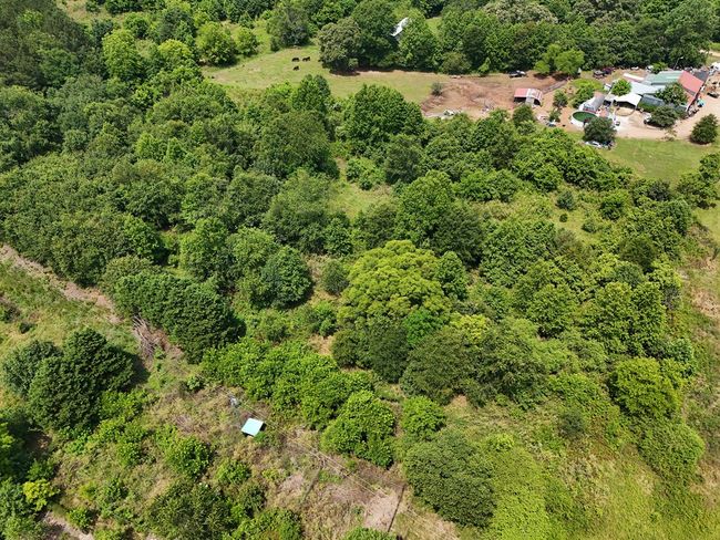 404 Brockton Loop, Home with 0 bedrooms, 0 bathrooms and null parking in Jefferson GA | Image 9