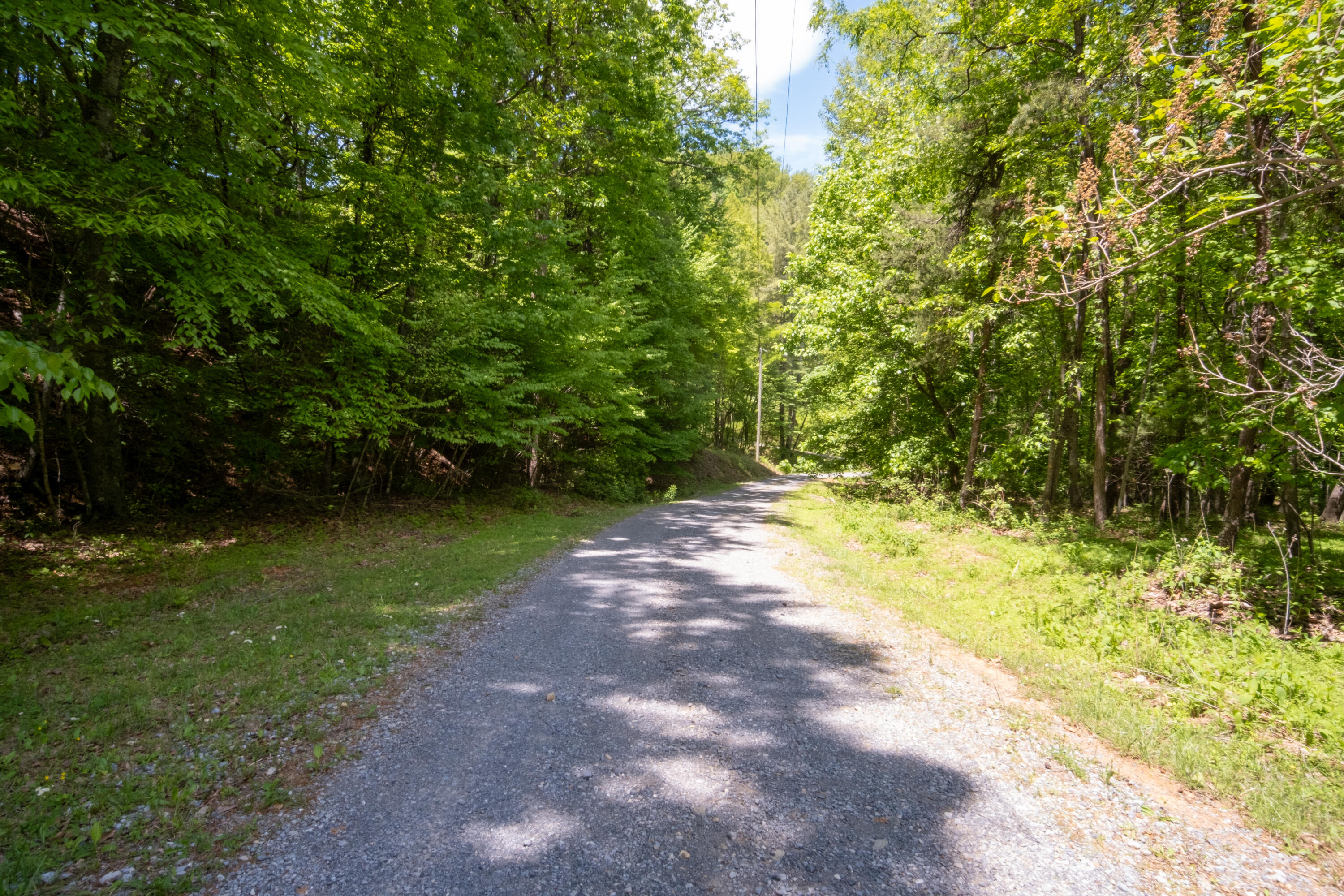 Land in Blue Ridge 5