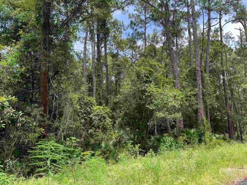 0 Galloway Ln, Gulf Shores, AL, 36542 | Card Image