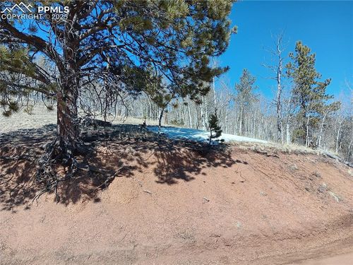 149 No Name Ln, Cripple Creek, CO, 80813-9607 | Card Image
