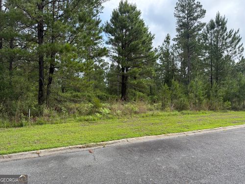 0.59 Big Horse Drive, Waynesville, GA, 31566 | Card Image