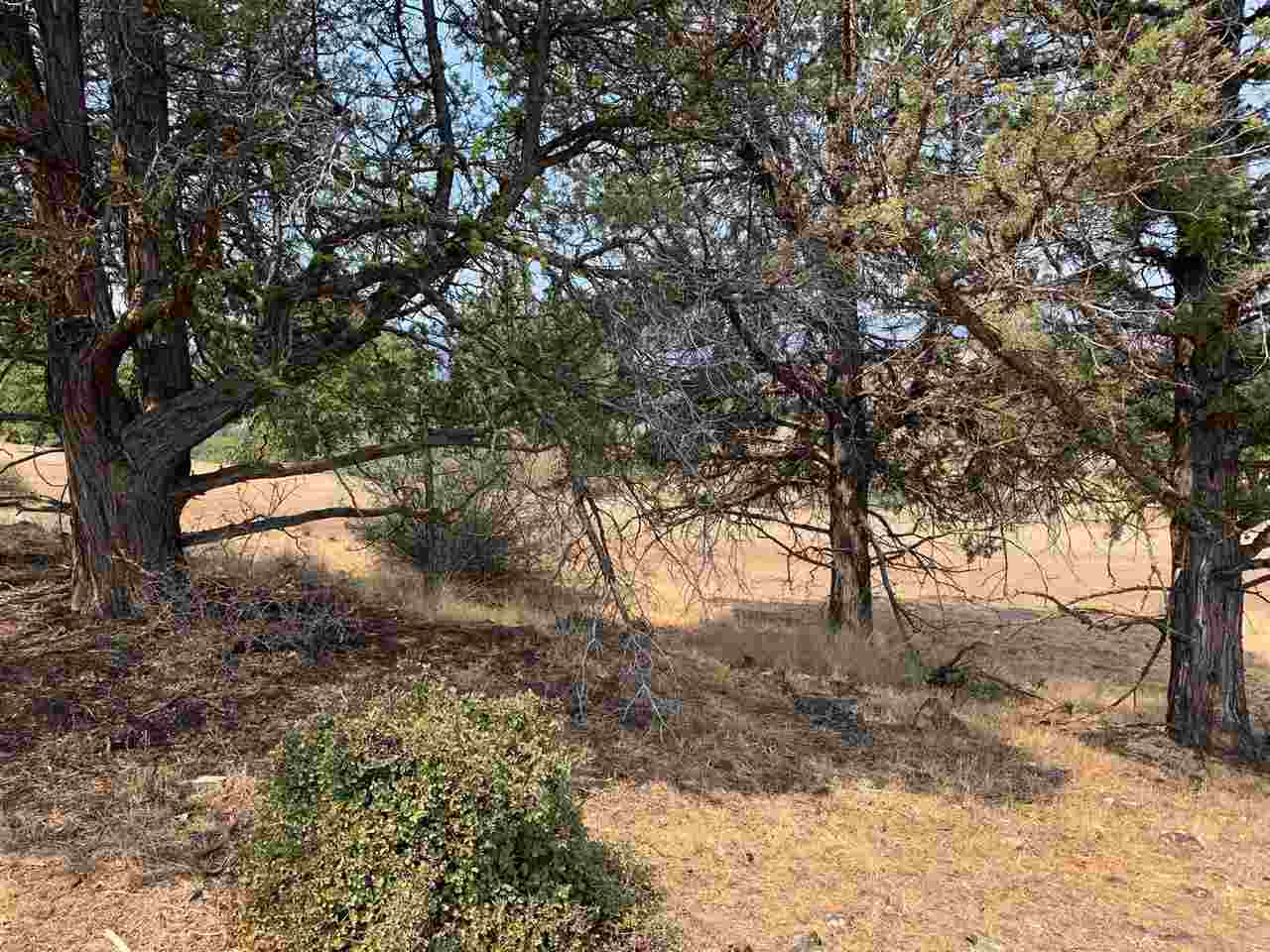 Land in Montague
