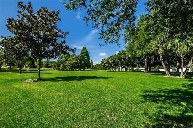 Beautiful Grounds! | Image 38