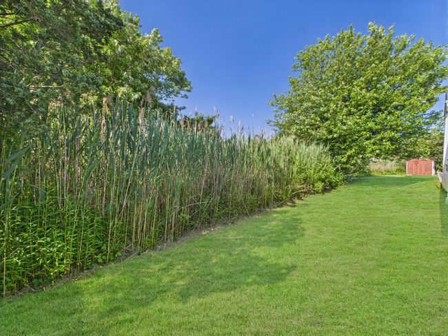 View of grassy yard | Image 35