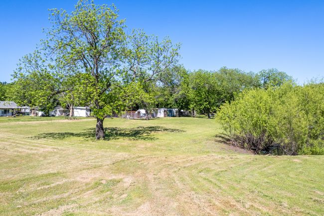 View of green lawn | Image 27
