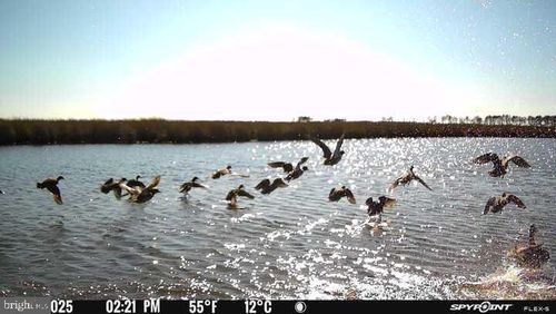 3241 Robbins Rd, CRAPO, MD, 21626-2008 | Card Image