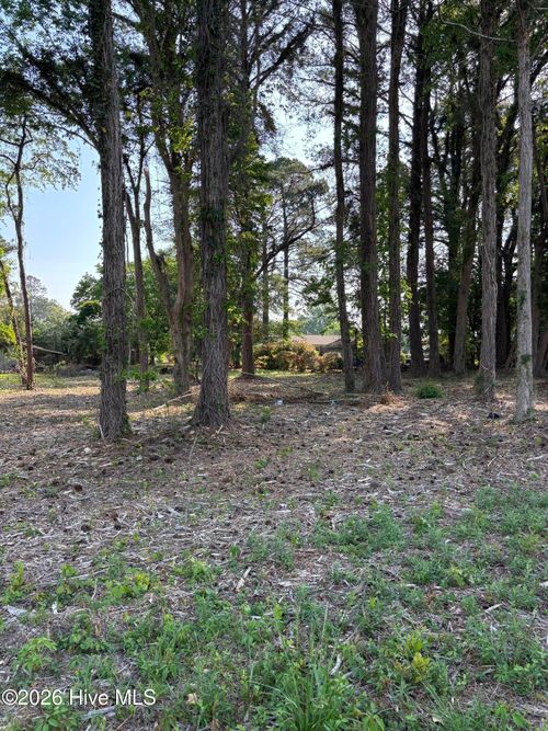 Lot #1 E 5th St, Washington, NC, 27889 | Card Image