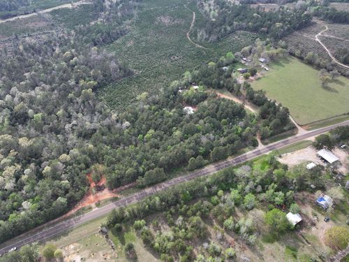 000 Fm 252, Jasper, TX, 75951 | Card Image