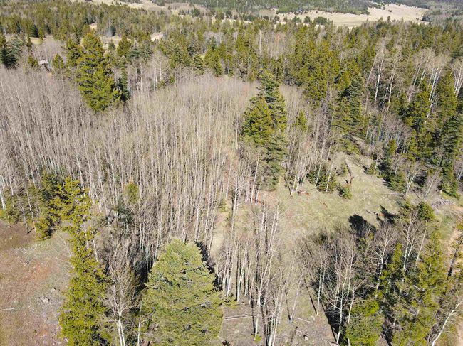 2 Acres Off Quail Ridge, Home with 0 bedrooms, 0 bathrooms and null parking in Angel Fire NM | Image 9