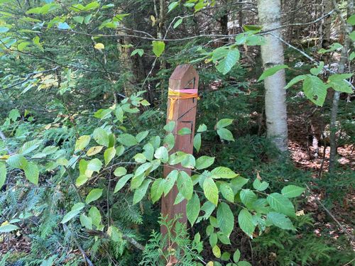 618 Sys Road, Lakeville, ME, 04487 | Card Image