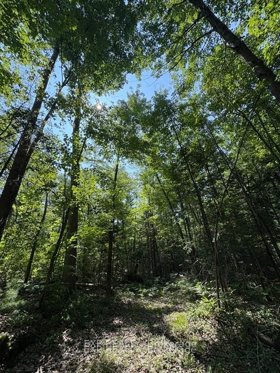 Residential in Alfred and Plantagenet 5