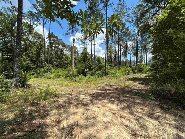 14856 Pace Rd, Home with 0 bedrooms, 0 bathrooms and null parking in Clinton LA | Image 6