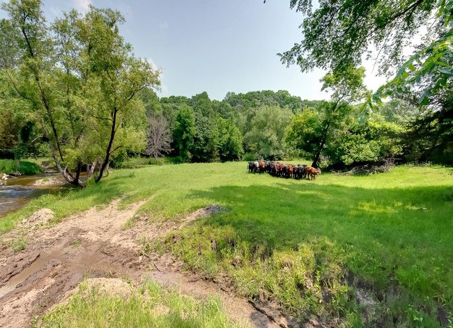 32908 285 Th Ave, House other with 3 bedrooms, 2 bathrooms and null parking in Le Sueur MN | Image 55