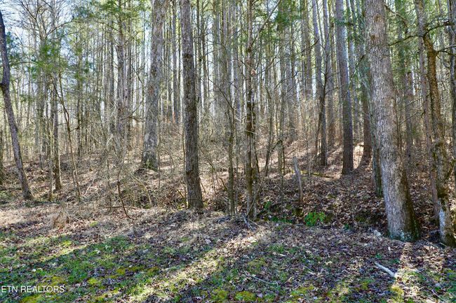 346 Chestuee Rd, House other with 3 bedrooms, 1 bathrooms and null parking in Calhoun TN | Image 21