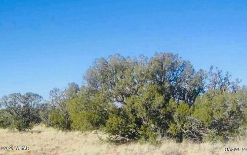 tbd Squaw Tank Vista Dr, Heber, AZ, 85928 | Card Image