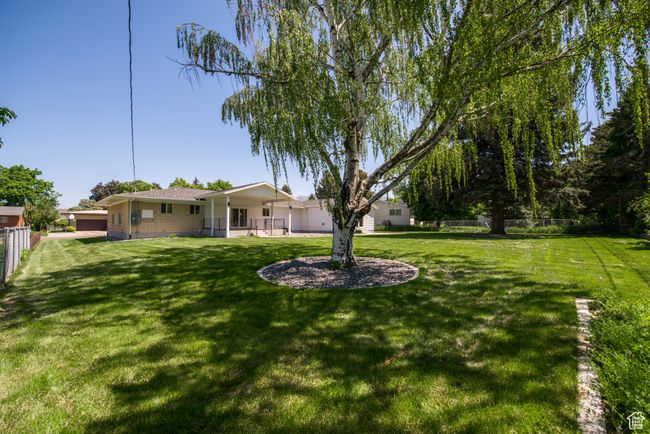View of yard | Image 8