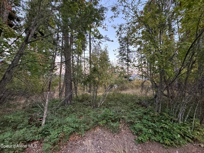 524 Glacier Loop, House other with 1 bedrooms, 1 bathrooms and null parking in Bayview ID | Image 46