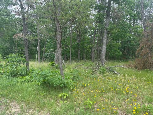 2250 S Stanberry, Baldwin, MI, 49304 | Card Image