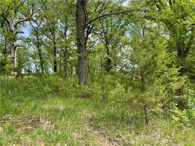 Lot 3038 Lake Viking Terrace, Home with 0 bedrooms, 0 bathrooms and null parking in Gallatin MO | Image 2