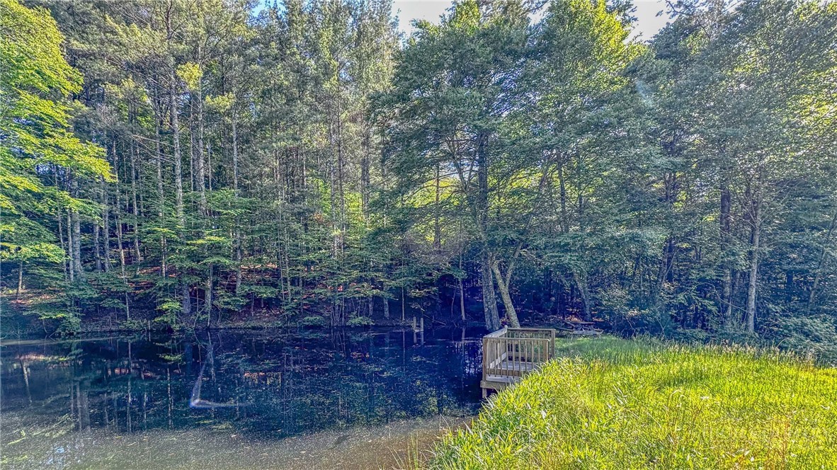 Land in Jefferson 5