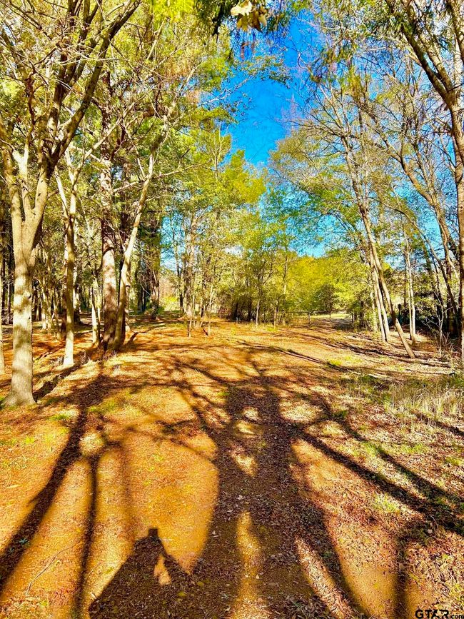 000 Grand View Dr, Home with 0 bedrooms, 0 bathrooms and null parking in Athens TX | Image 16