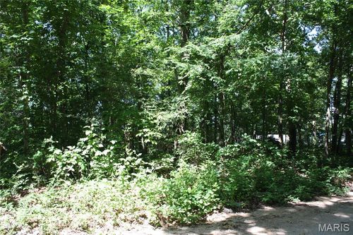 00 Lake View Dr, Wappapello, MO, 63966 | Card Image