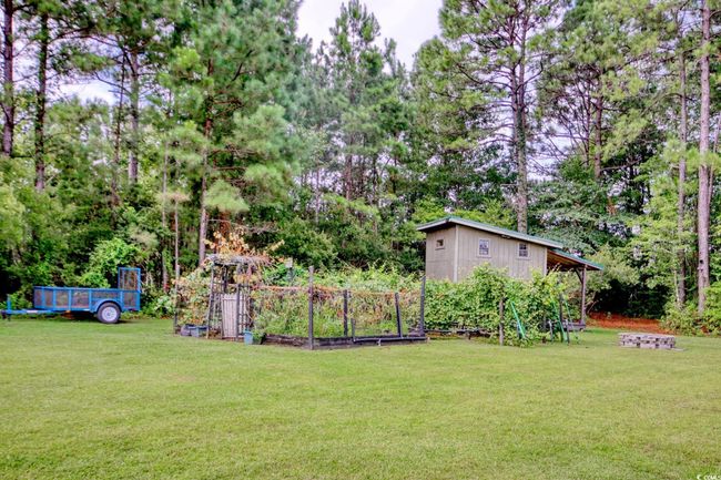 View of grassy yard with a garden and an outbuilding | Image 38