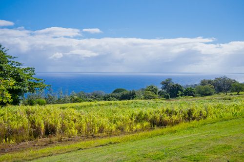 35-219 Kihalani Homestead Rd, LAUPAHOEHOE, HI, 96764 | Card Image