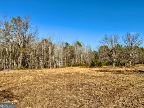 0 Eugene Ward Rd, Adrian, GA, 31002 | Card Image