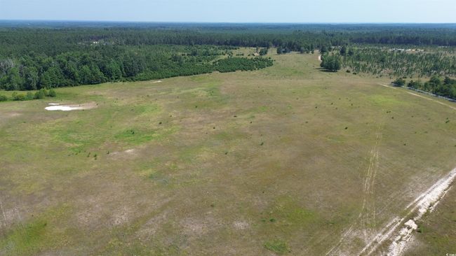 Aerial view of a forest | Image 20