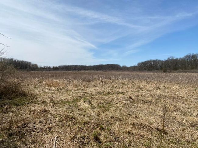 4500 S 42 Nd St, Home with 0 bedrooms, 0 bathrooms and null parking in Climax MI | Image 15