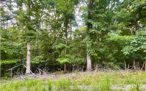 LOT Maize Court, Ellijay, GA, 30540 | Card Image