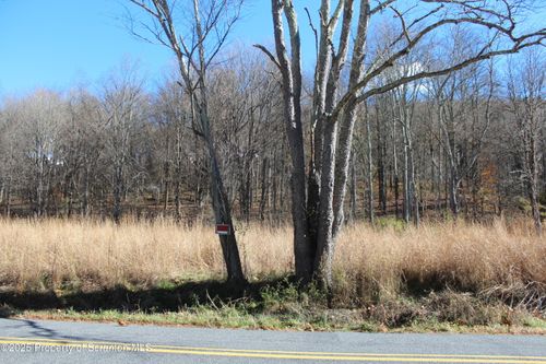 1253 Bacontown Rd, Nicholson, PA, 18446-8065 | Card Image