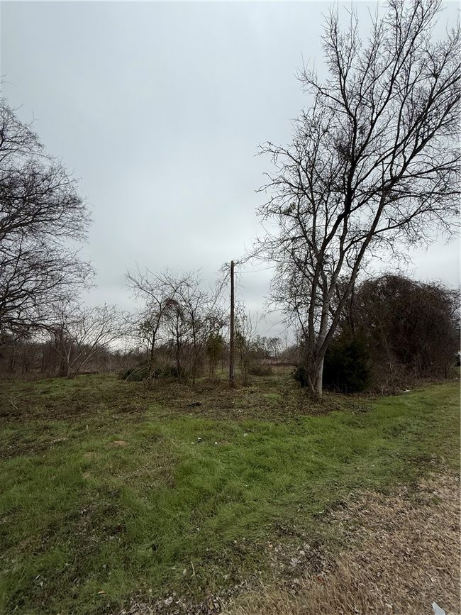 View of nature | Image 7