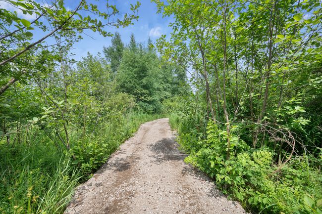5004 N Cypress Ave, Home with 0 bedrooms, 0 bathrooms and null parking in Big Rapids MI | Image 5