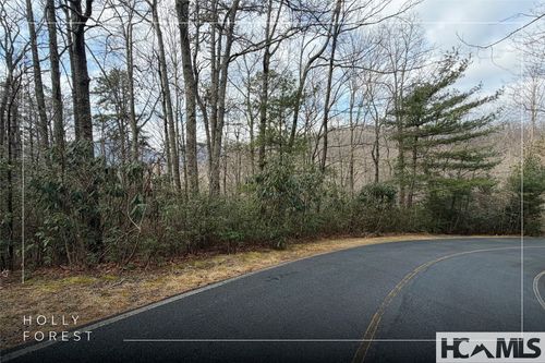 Lot 40 Buckberry Dr, Sapphire, NC, 28774-5616 | Card Image
