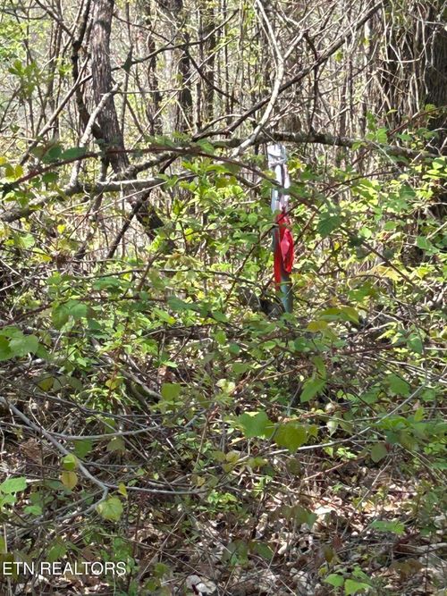 lot 27 Jones Ridge Rd, Speedwell, TN, 37870 | Card Image