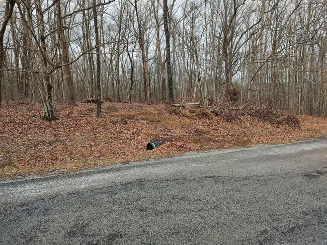 75 Renegage Mountain Parkway, Home with 0 bedrooms, 0 bathrooms and null parking in Crab Orchard TN | Image 9