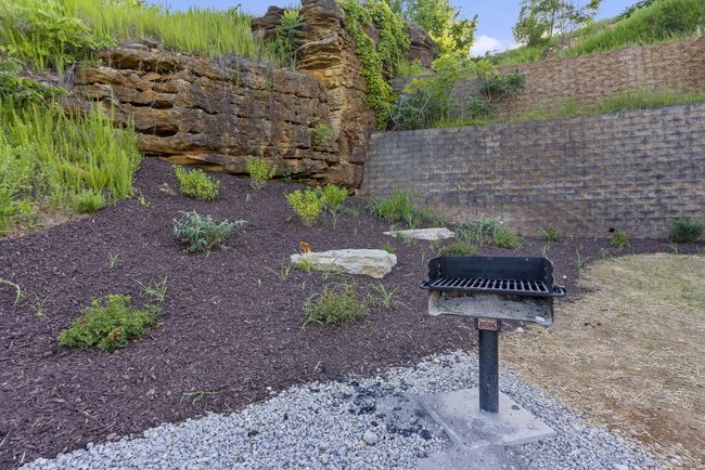 Vineyards Terrace | Image 11