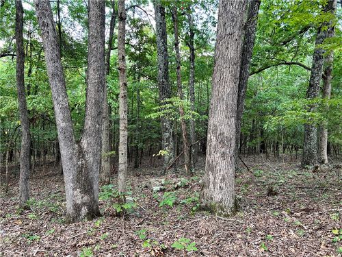 1315 Madison 2315, Huntsville, AR, 72740 | Card Image